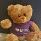 I Heart MFTs Teddy Bear